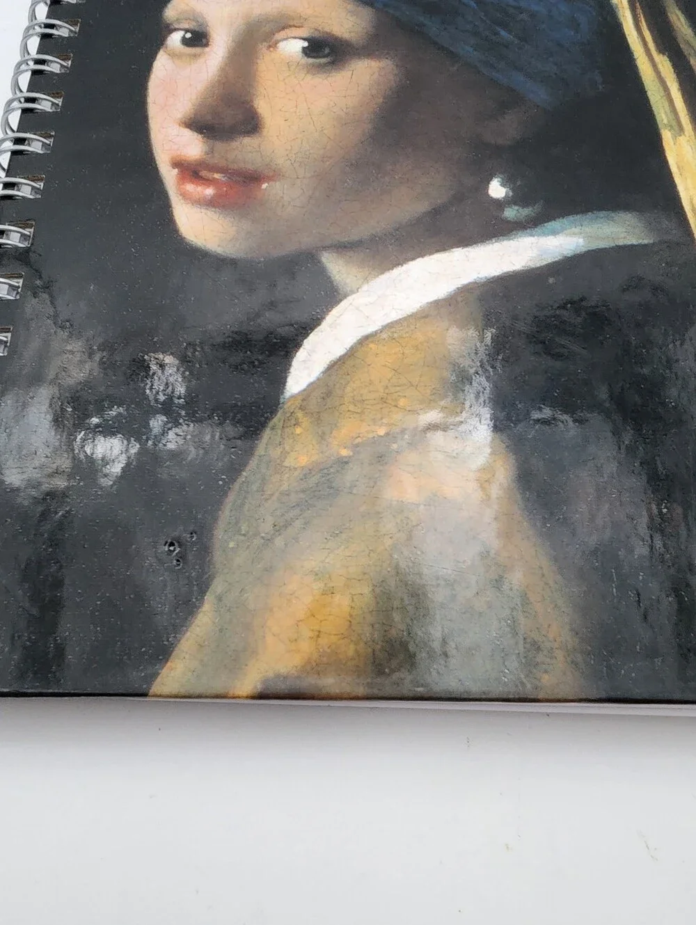 Girl with a Pearl Earring by Johannes Vermeer Spiral Sketch Notebook